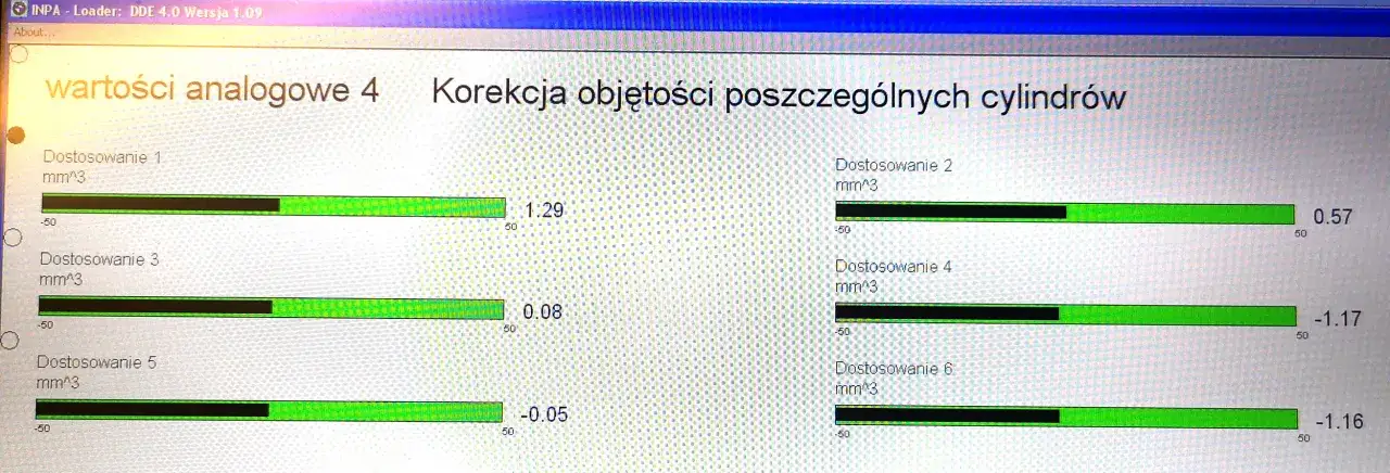 Ekran diagnostyczny pokazuje dopuszczalne korekty wtryskiwaczy dla każdego cylindra. Wartości wahają się od -1.17 do 1.29 mm^3.