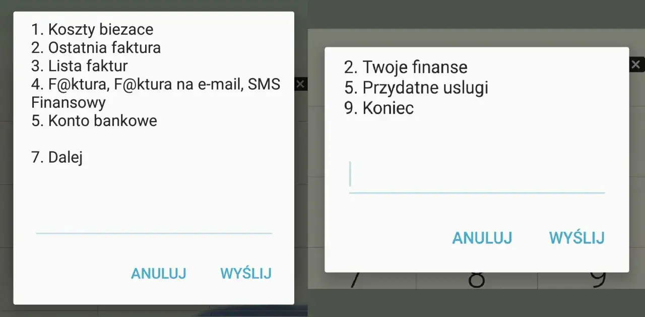 Menu T-Mobile na kartę: koszty, faktury, finanse, usługi. Wybierz opcję lub wpisz kod.