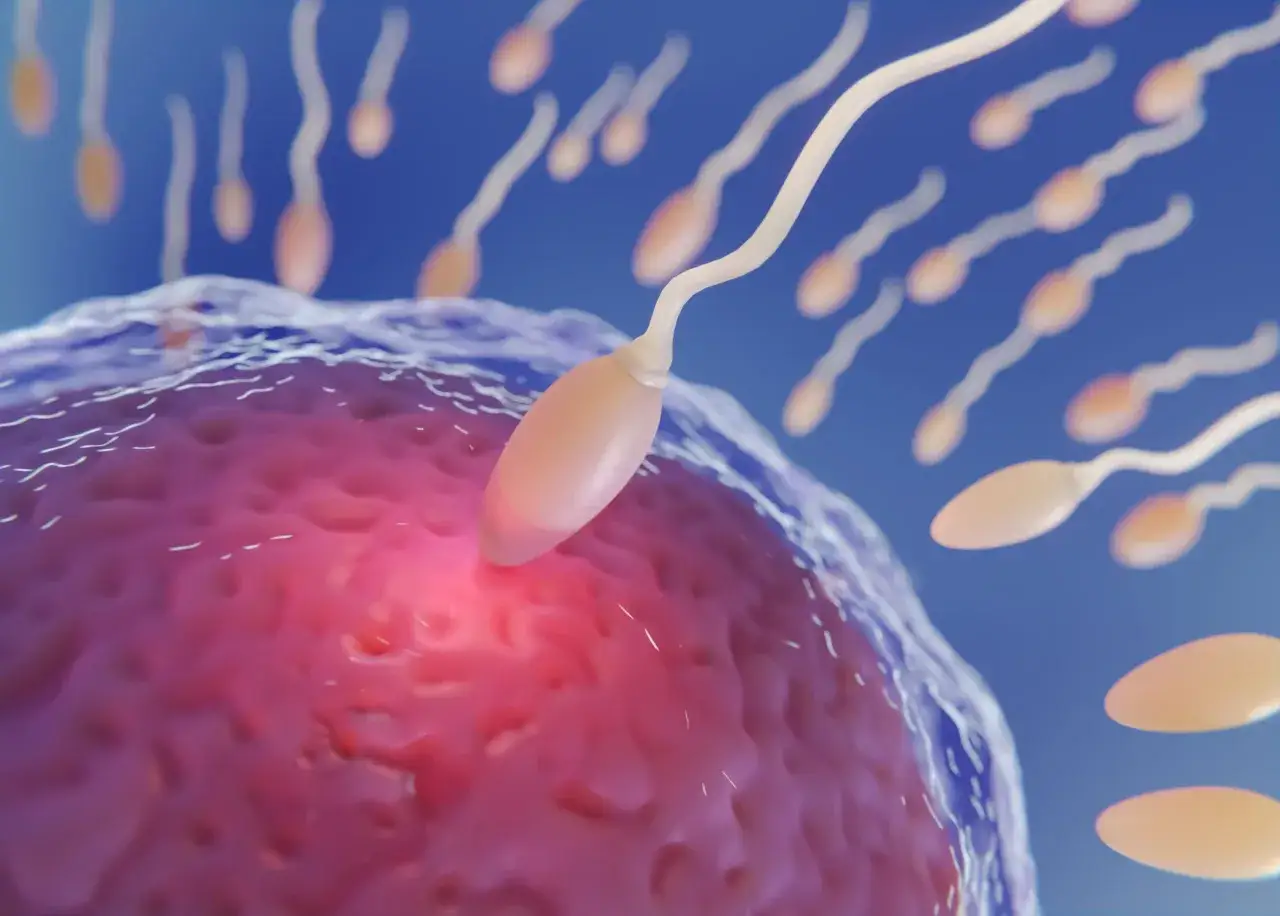 Dziecko z in vitro co to? Fakty, które musisz znać o IVF