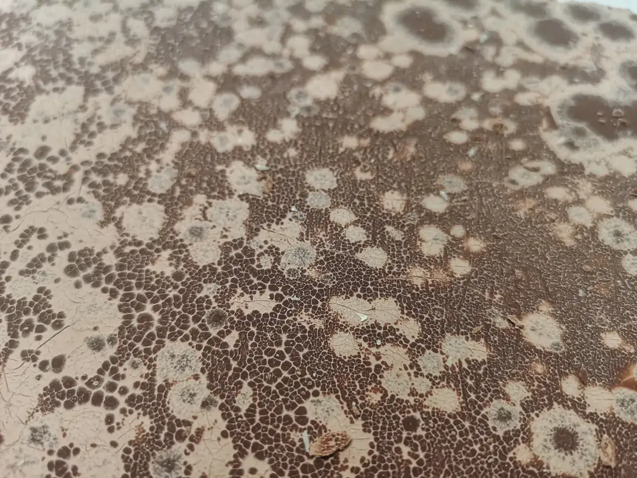 Texture craquelée marron et beige, rappelant un point blanc chocolat, avec des motifs aléatoires et des petites bulles.