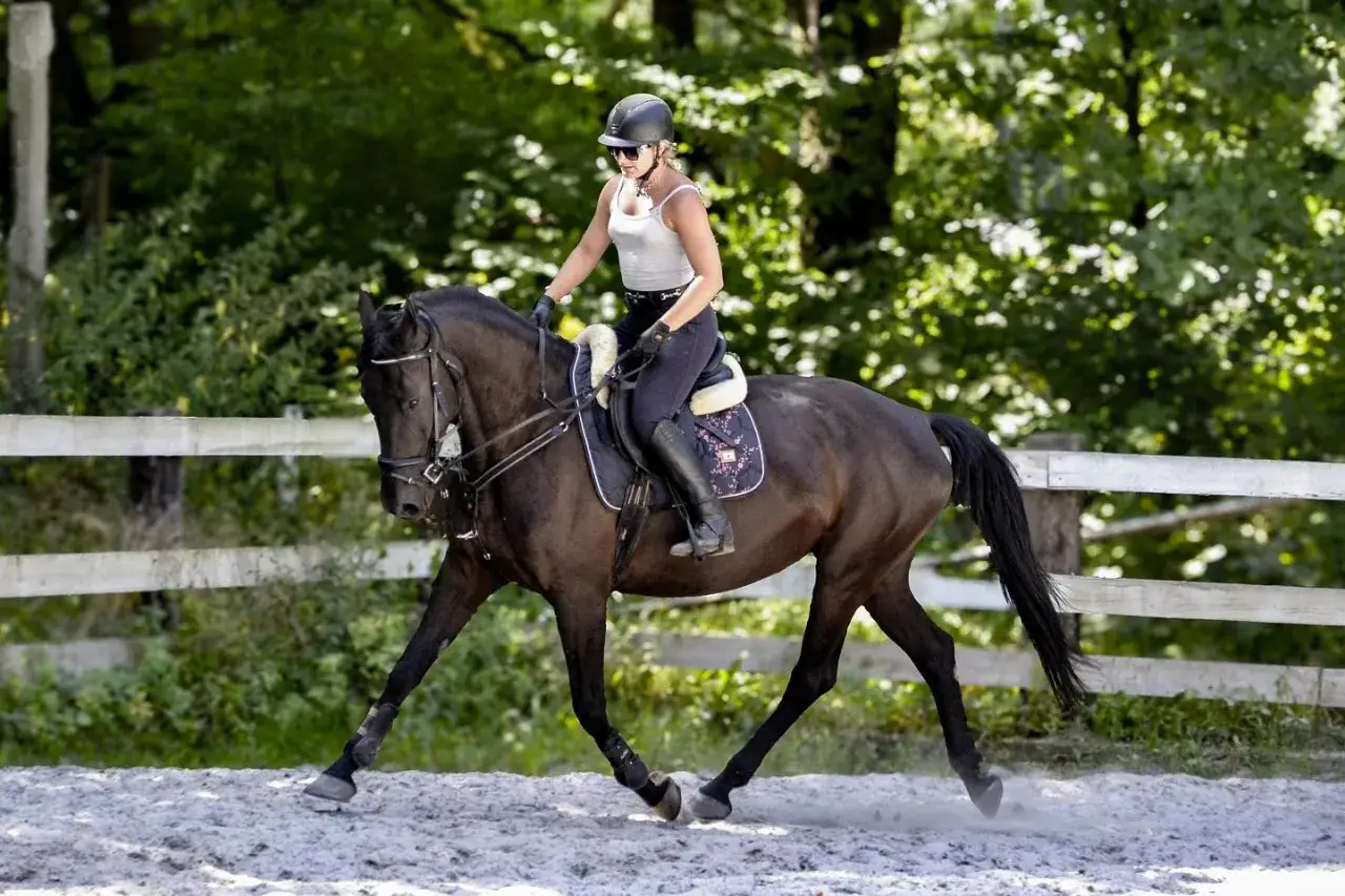 Jeździec w kasku i białej bluzce dosiada ciemnego konia na piaskowym podłożu. Trening w klubie jazdy konnej Fabrex.