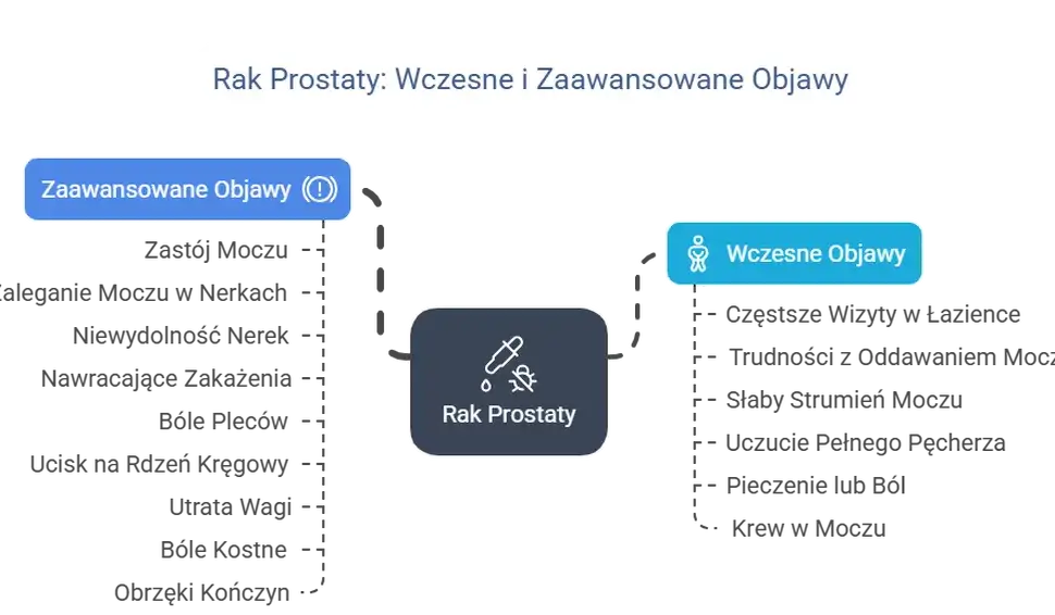Rak prostaty: objawy, czynniki ryzyka i diagnostyka. Jak rozpoznać?