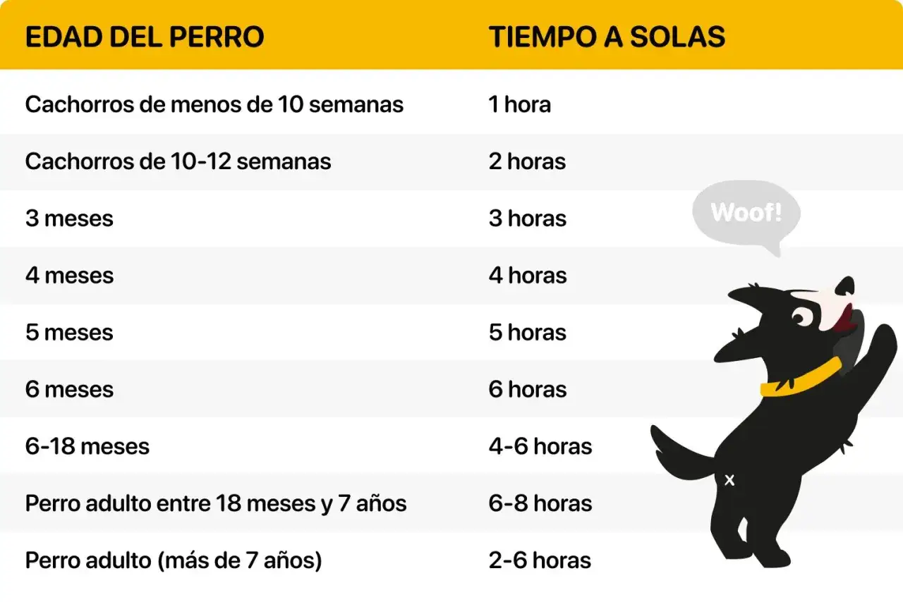 Tabla con edades de perros y tiempo recomendado para dejarlos solos. Guía para como acostumbrar a un perro a quedarse solo.