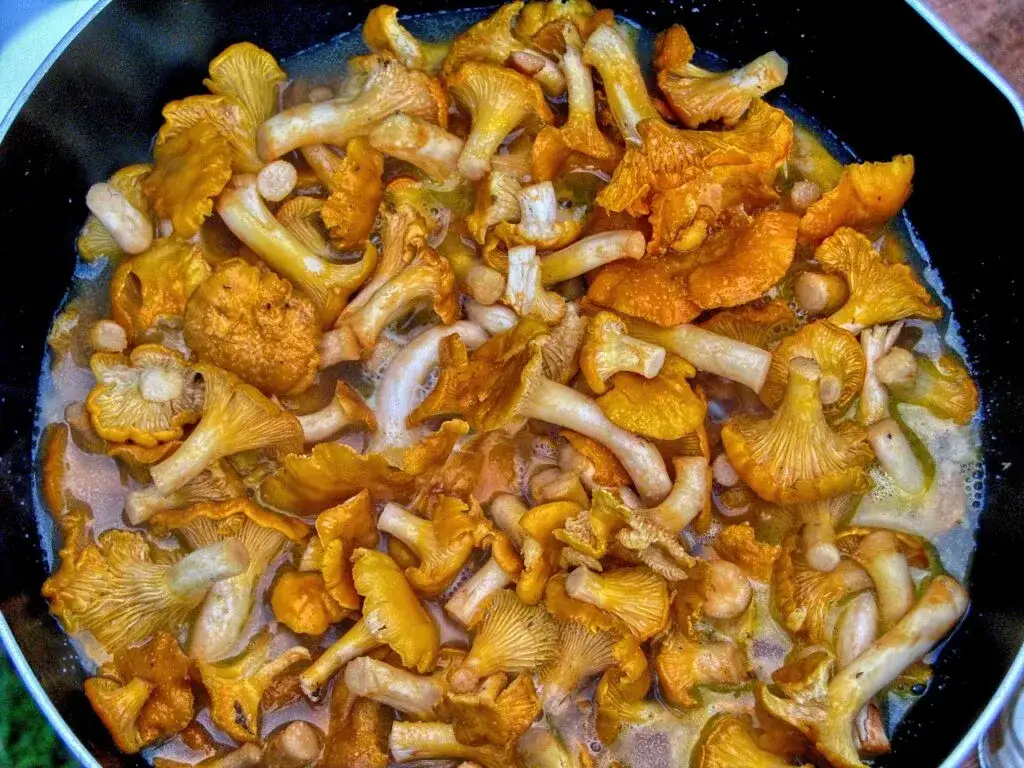 Jakie przyprawy do kurek wydobędą ich smak i aromat w potrawach