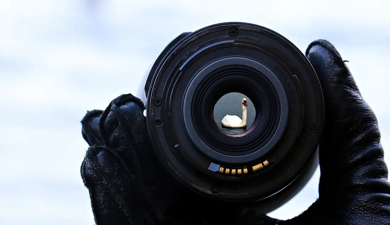 OM System M.Zuiko 50-200 mm F/2.8 IS PRO – uniwersalny superteleobiektyw dla wymagających fotografów