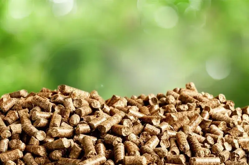 Pellet sosnowy jako alternatywa dla tradycyjnych źródeł energii