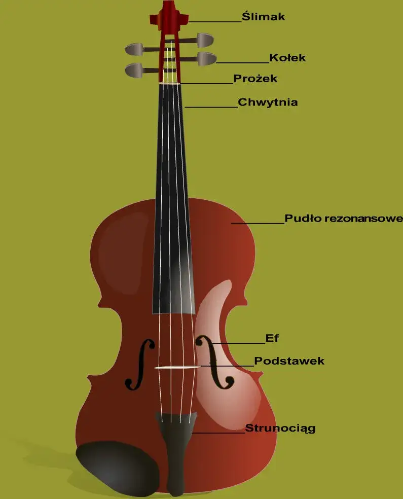 Jak wyglądają skrzypce: Wizualny przewodnik po budowie instrumentu