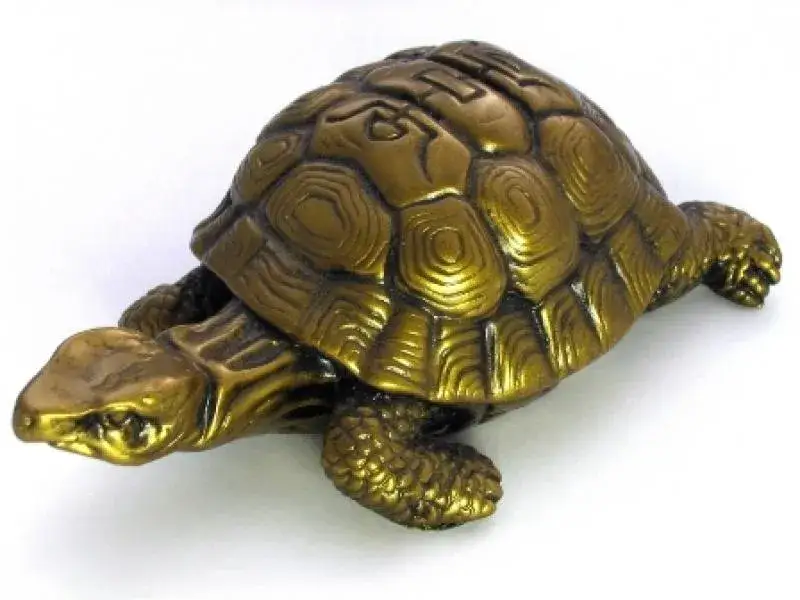 Dlaczego żółw jest święty w Azji? Oto symbolika, która Cię zadziwi