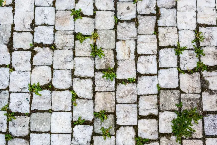 Skuteczne sposoby usuwania mchu z kostki brukowej - poradnik