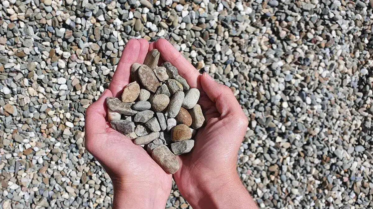 Ile kosztuje żwir płukany? Ceny frakcji i zastosowania