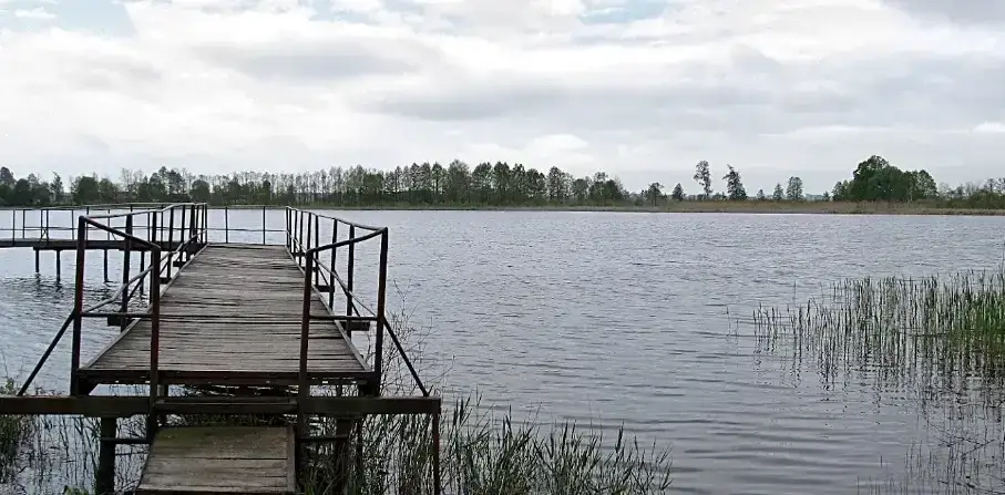 Jezioro Lubiechowskie: najlepszy wypoczynek i rekreacja w regionie Kowala