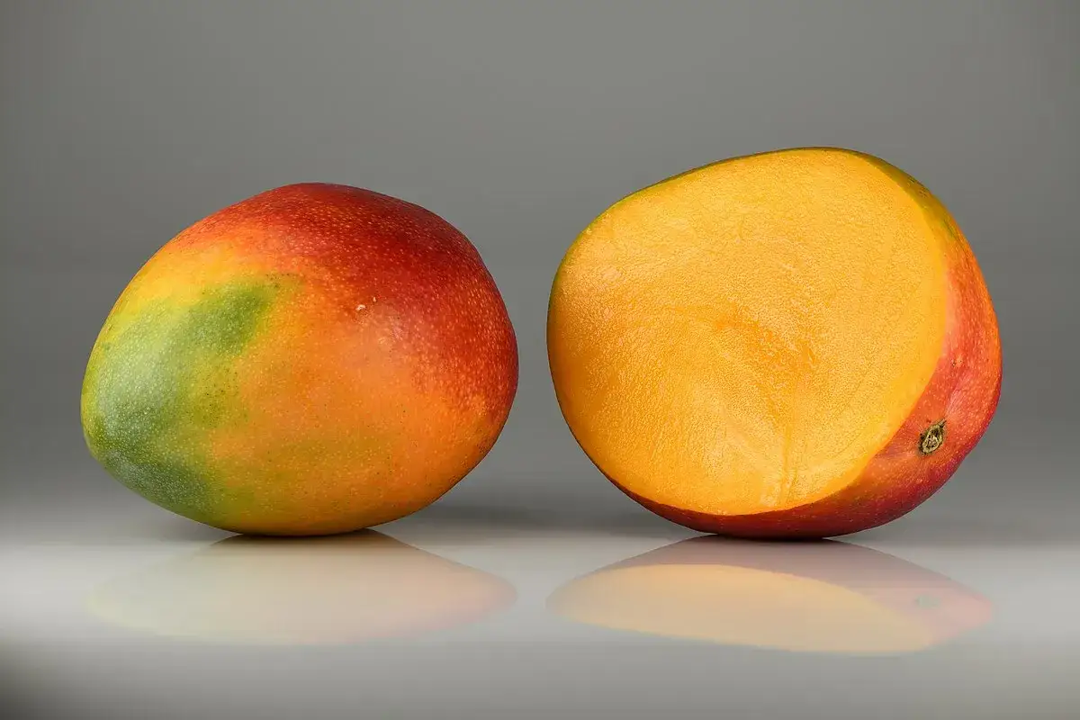 Poznaj wszystkie miejsca gdzie rośnie mango - lista najpopularniejszych regionów