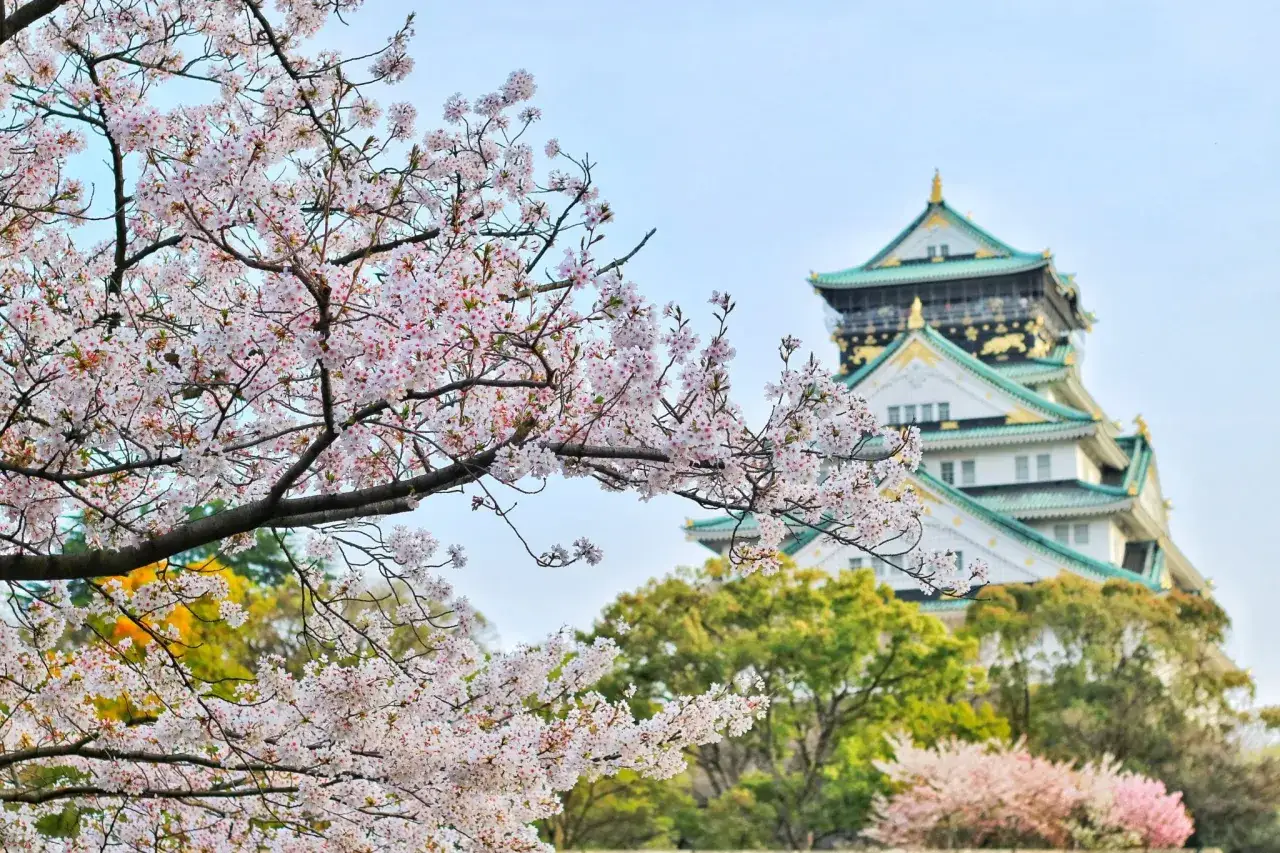 Kiedy jechać do Japonii? Najlepsze terminy i porady podróżnicze