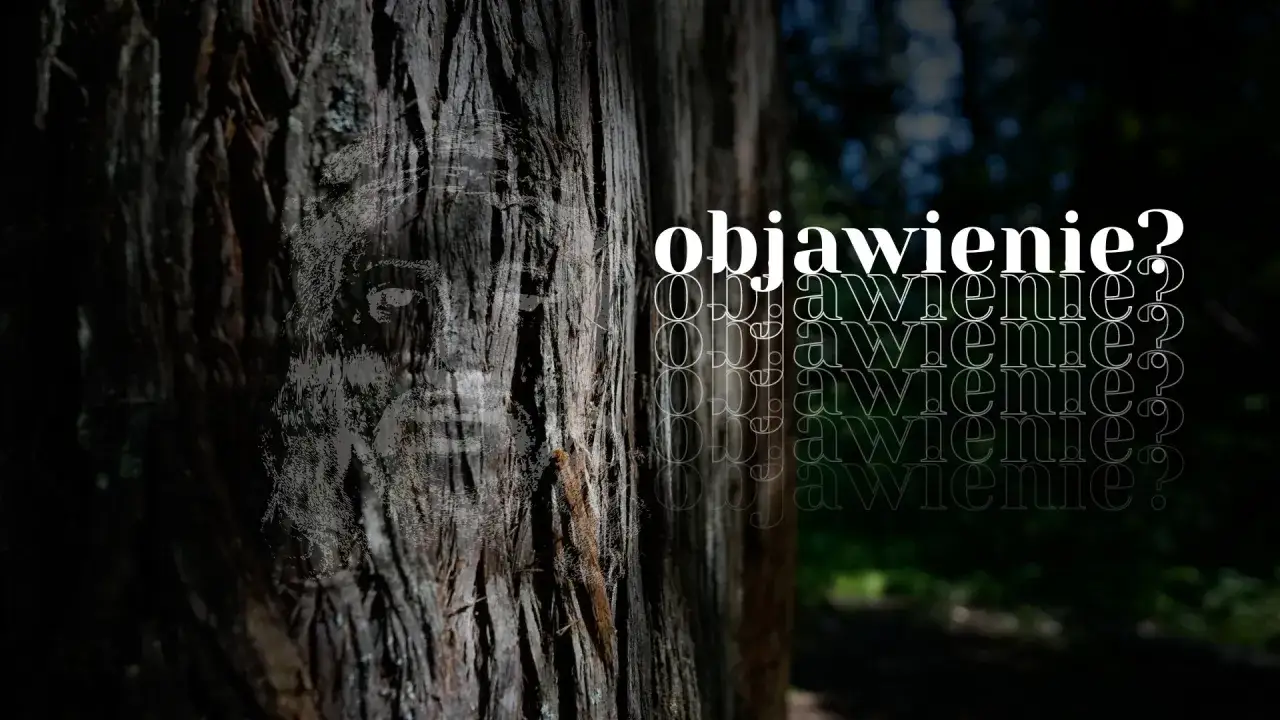 Na pniu drzewa widnieje twarz, jakby objawienie. Obok powtarza się słowo "objawienie?".