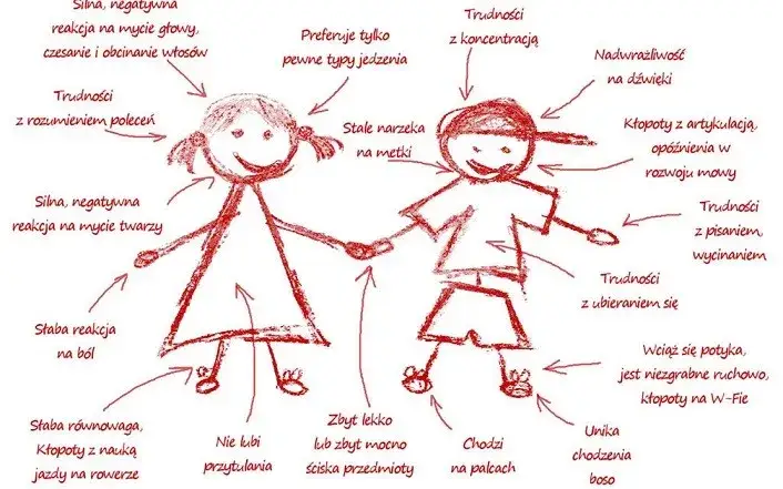 Integracja sensoryczna: Objawy, diagnoza, terapia i koszty w PL