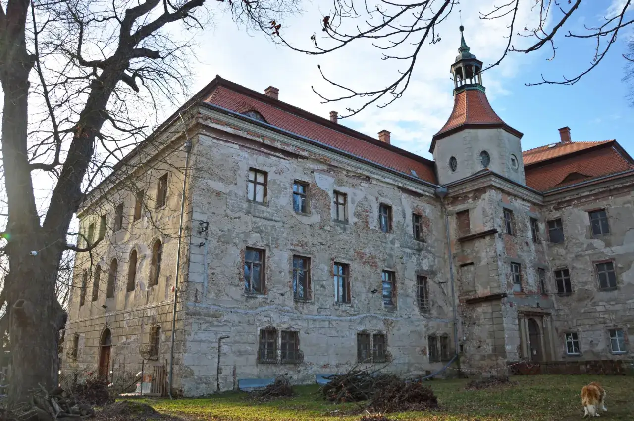 Zamek w Domanicach, zniszczony, z wieżą i czerwonym dachem, stoi na tle błękitnego nieba.