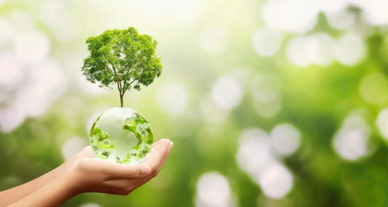 Kiedy powstał zielony ład i jak wpłynął na politykę klimatyczną?