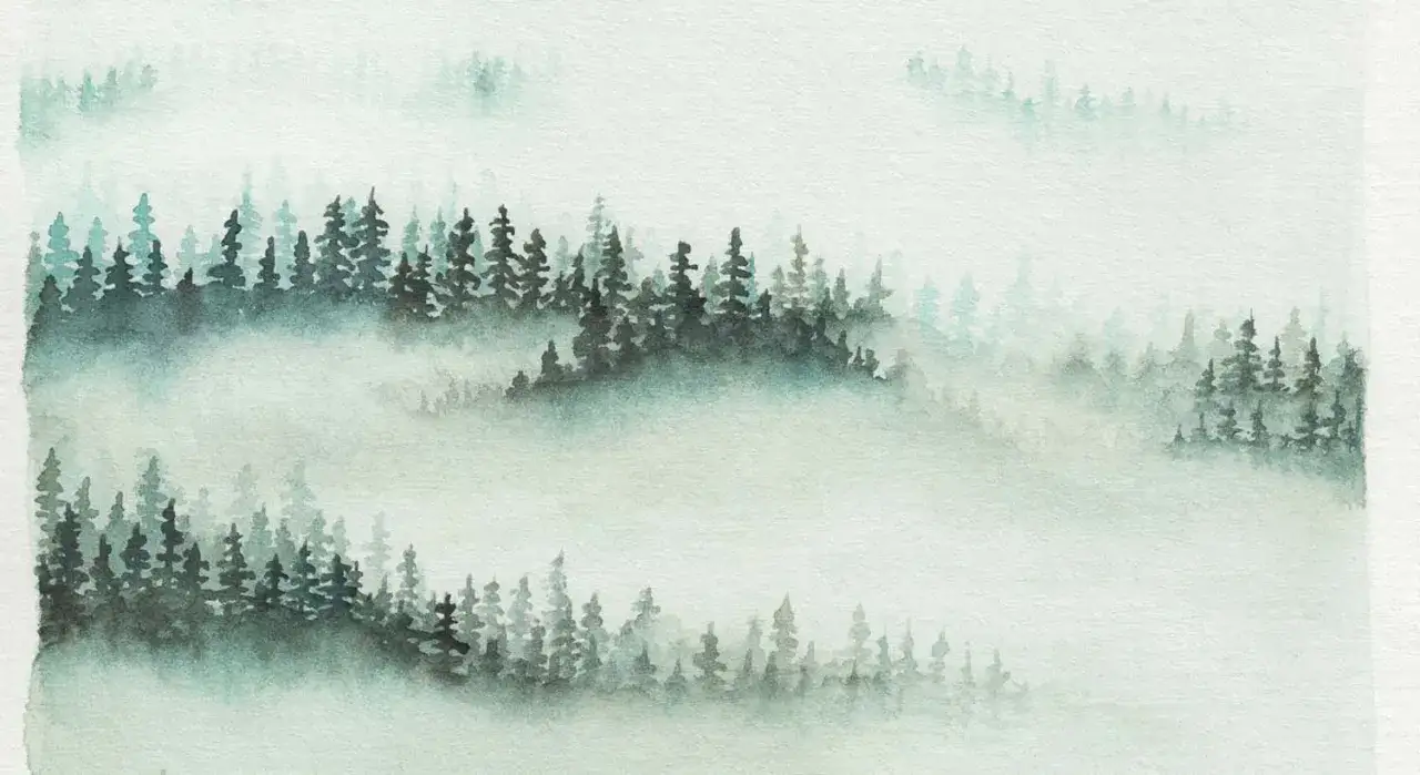 Aquarellmalerei eines nebligen Waldes mit dunklen Tannen und verschwommenen Hintergründen.