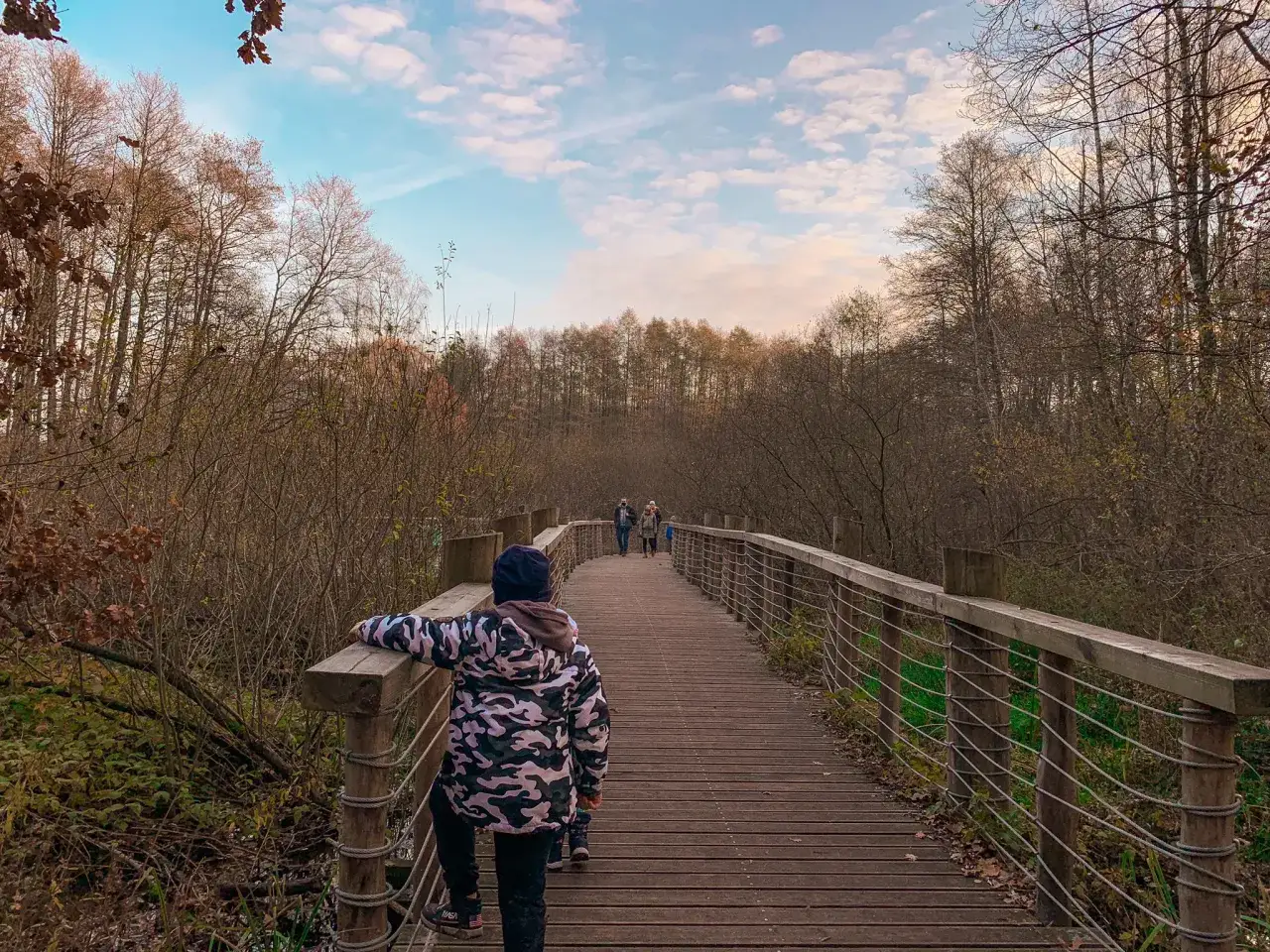 Dzieci spacerują drewnianym pomostem przez łosiowe błota. Jesienny las otacza ścieżkę, a niebo jest lekko zachmurzone.