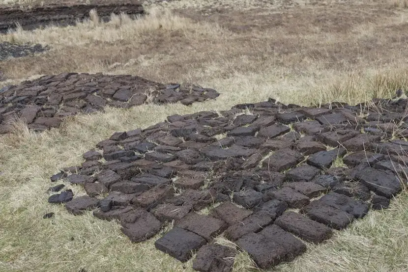 Co to jest brykiet torfowy i dlaczego warto go używać jako paliwo?