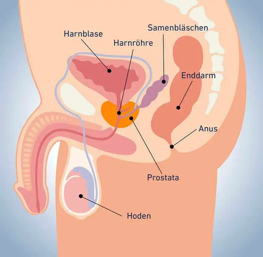 Medikamente Prostata: Effektive Lösungen zur Linderung von BPH-Beschwerden