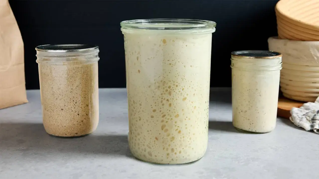 Trois bocaux de levain actif, montrant la proportion levain farine eau. Le levain est plein de bulles, signe de fermentation.