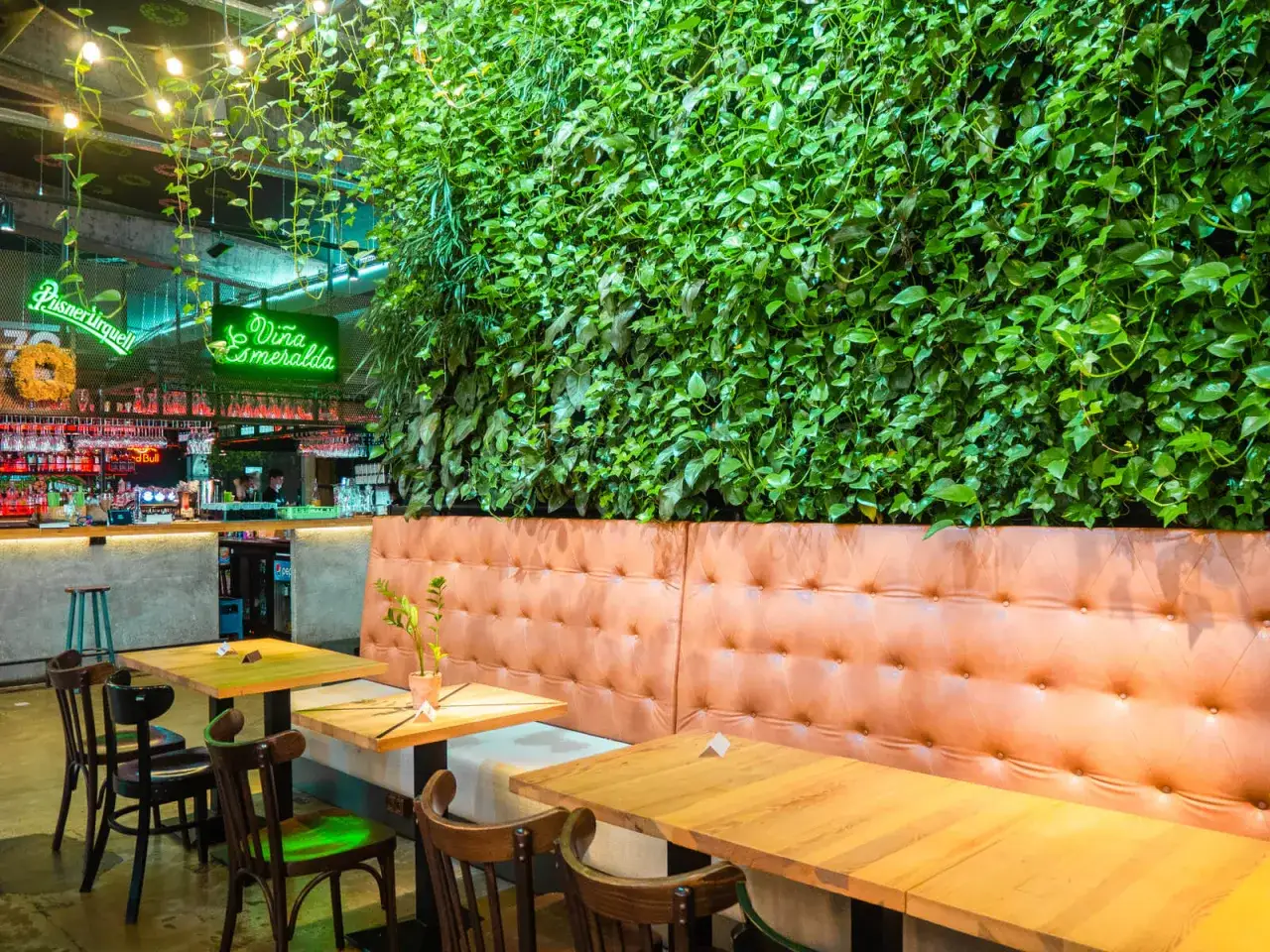 Wnętrze restauracji z zieloną ścianą i wygodnymi lożami. Idealne miejsce na odkrycie najlepszych restauracji w Krakowie - Ranking top 6.