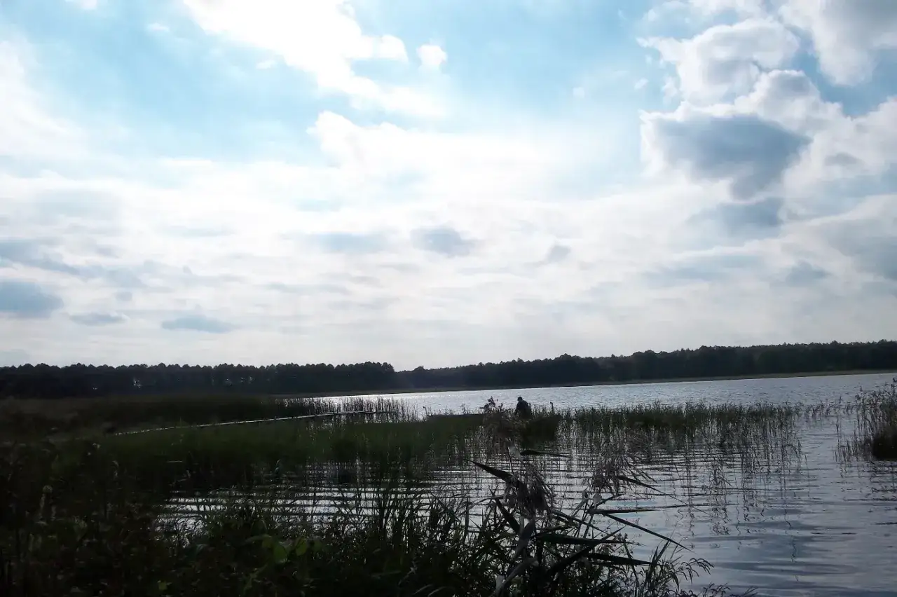Spokojne jezioro Zagłębocze otoczone lasem, z trzcinami na brzegu i samotnym wędkarzem.