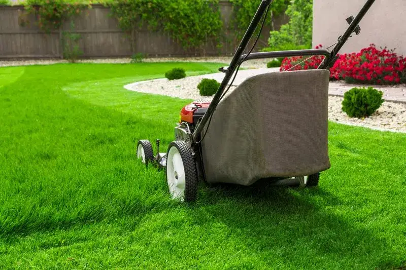 Idealny trawnik? Zrozum mechanizm regulacji wysokości koszenia!
