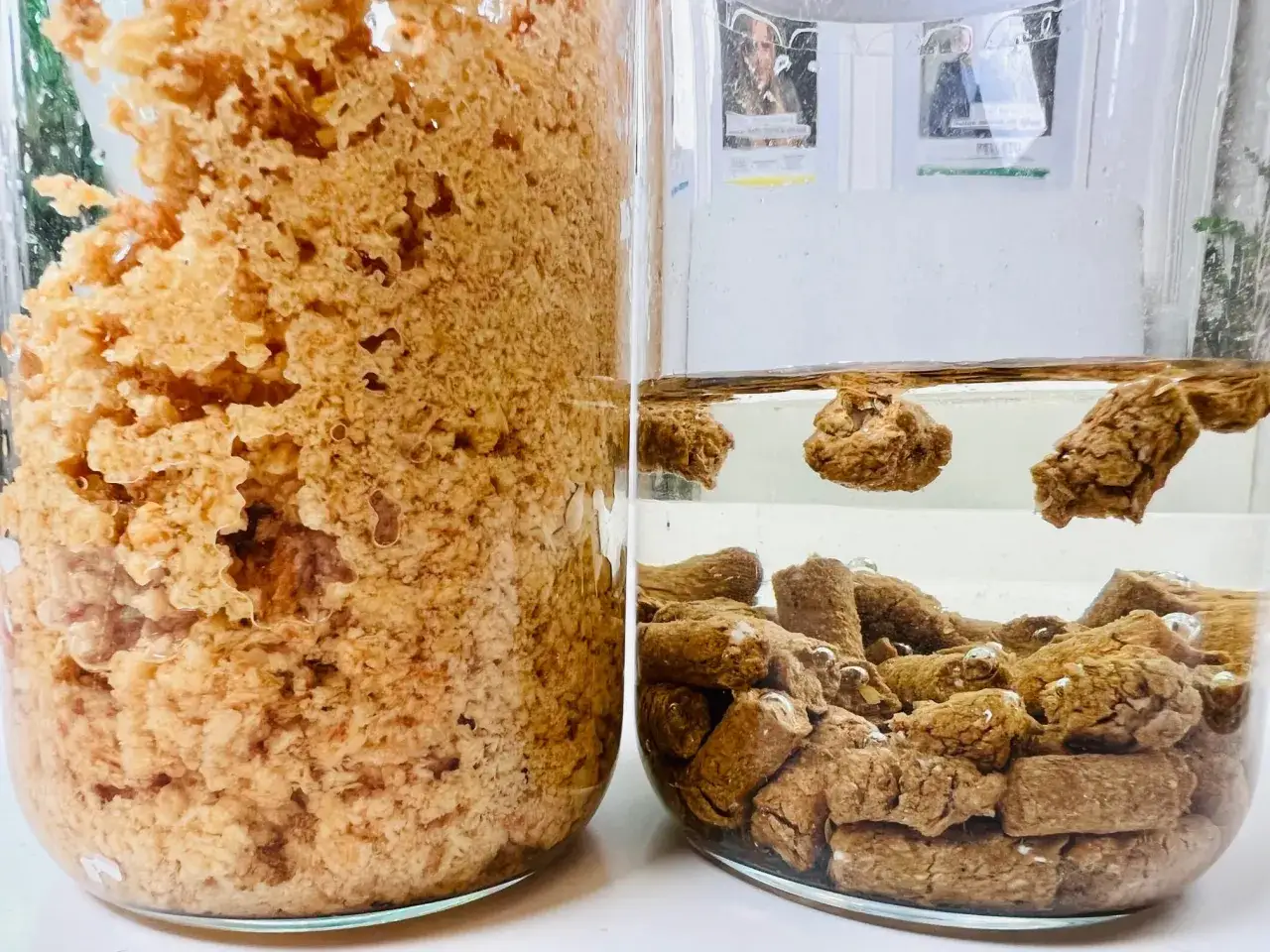 Test pelletu w wodzie. Po lewej gęsta, brązowa masa, po prawej pellety unoszą się i opadają w przezroczystej cieczy.