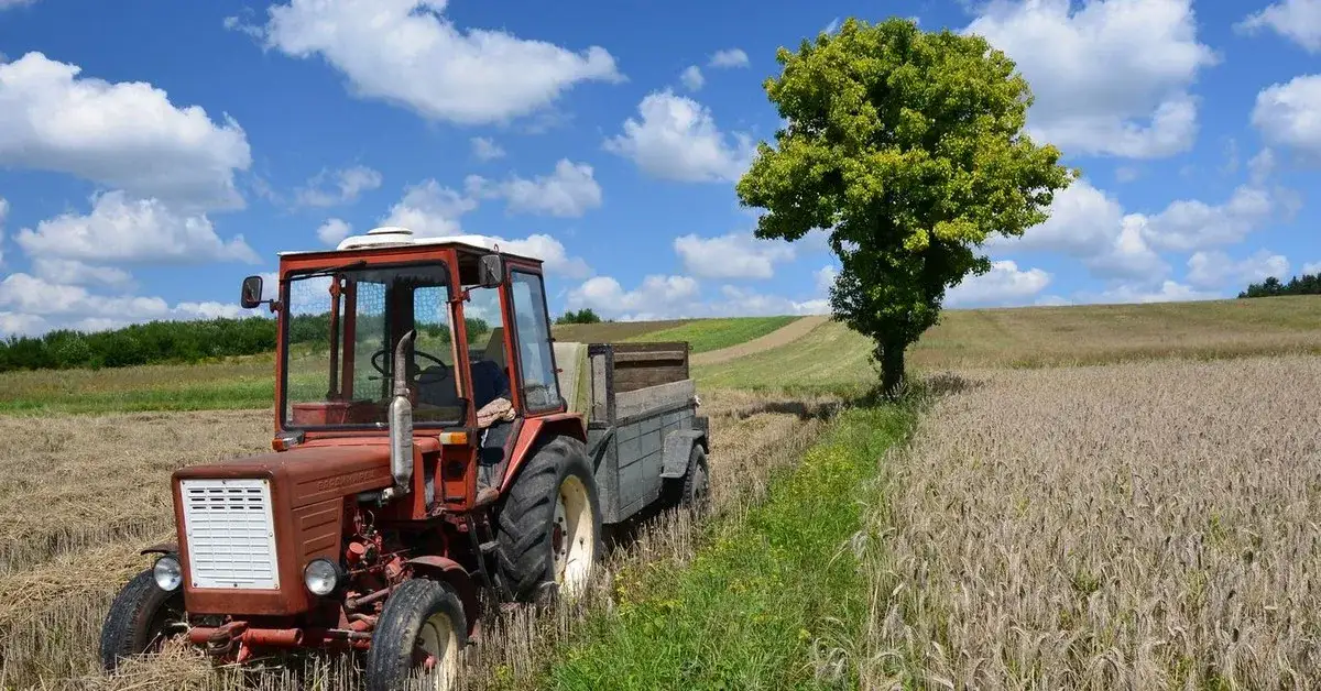 Praca w gospodarstwie rolnym do stażu? Zyskaj urlop i emeryturę!