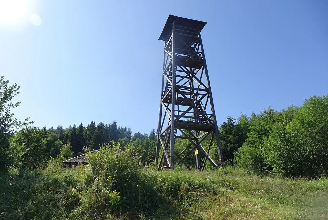 Drewniana wieża widokowa pod Jaworzem góruje nad zielonym lasem. W oddali widać mały domek.
