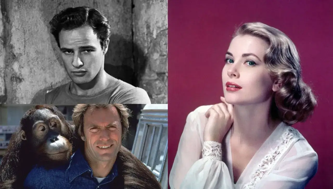 Marlon Brando, Clint Eastwood z orangutanem i Grace Kelly. Kto to za aktorzy?
