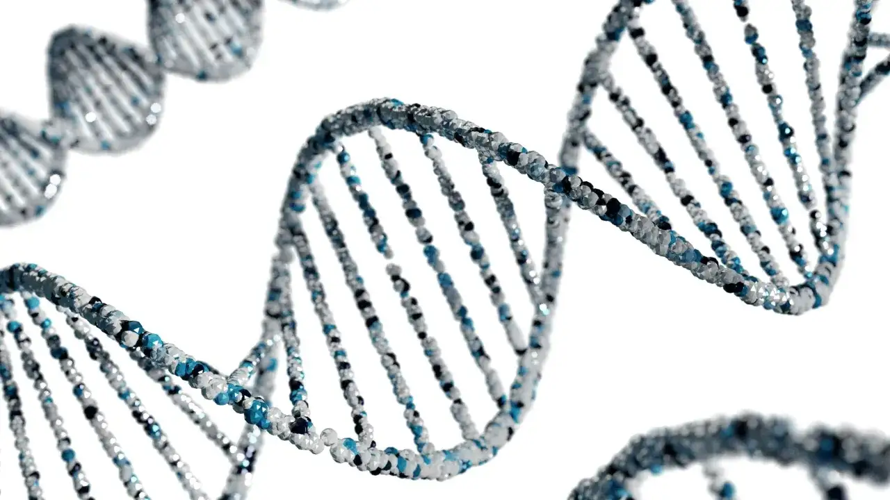 Model DNA z niebieskimi i białymi elementami na białym tle.