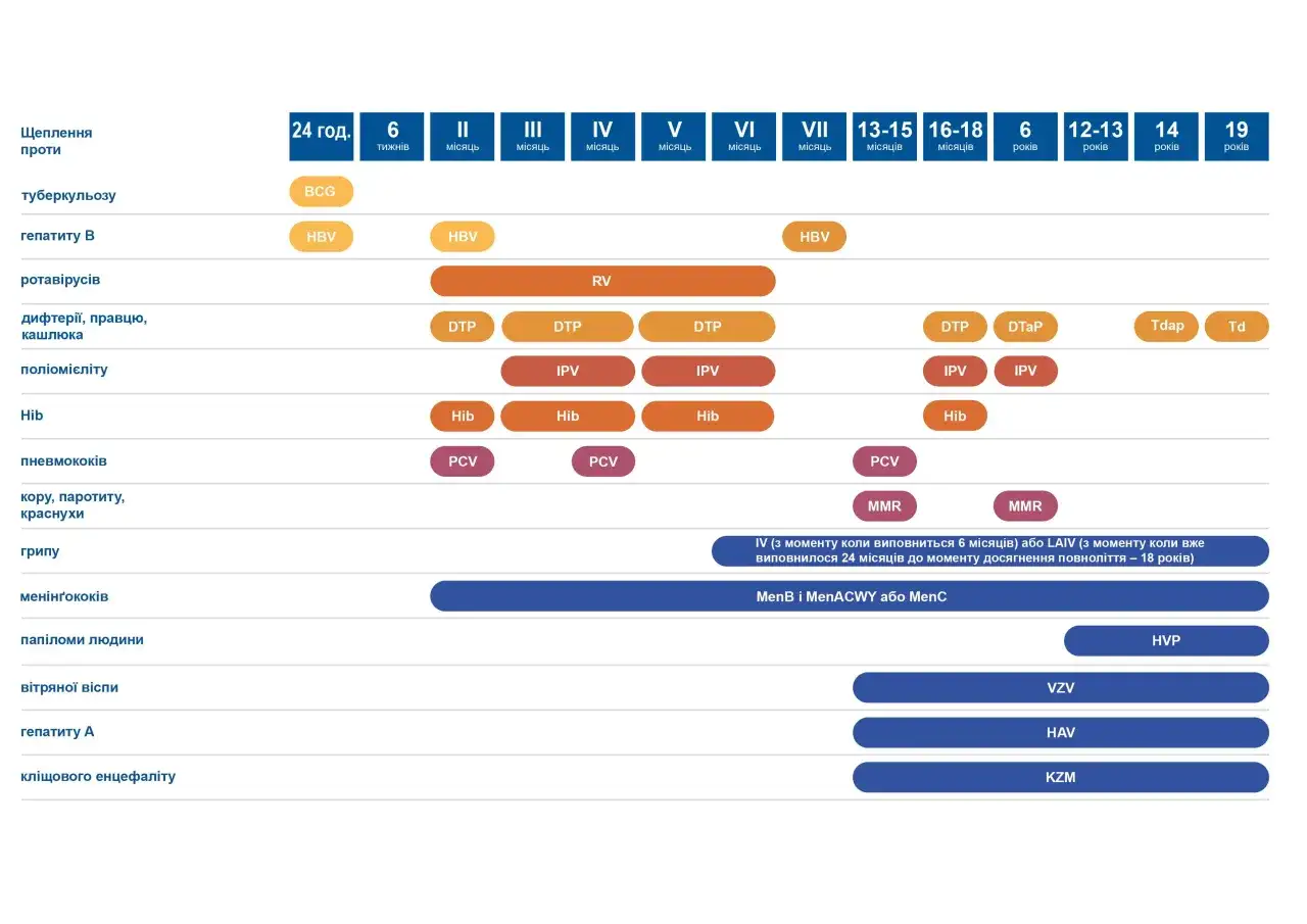 Kalendarz szczepienia dzieci: BCG, HBV, RV, DTP, IPV, Hib, PCV, MMR, HVP, VZV, HAV, KZM.