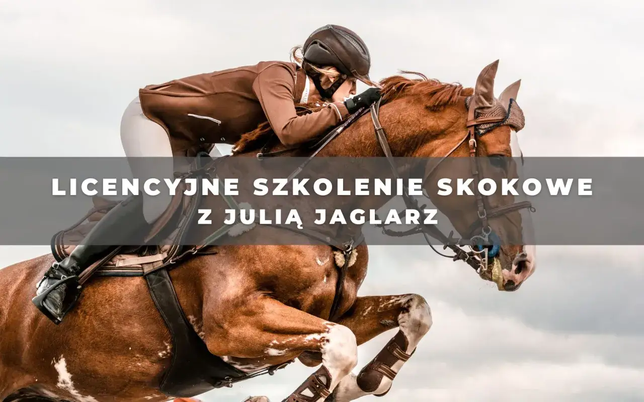Jeździec w brązowej kurtce skacze na koniu przez przeszkodę.