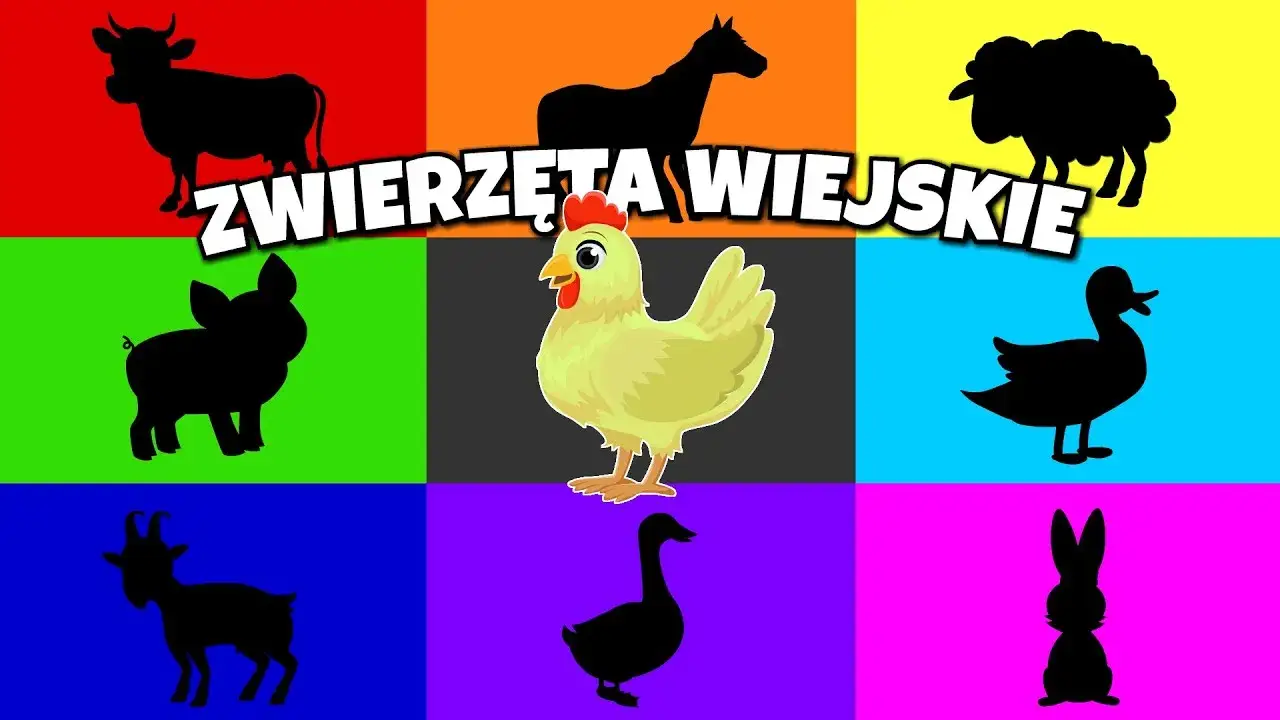 Filmy edukacyjne dla dzieci o zwierzętach, które bawią i uczą