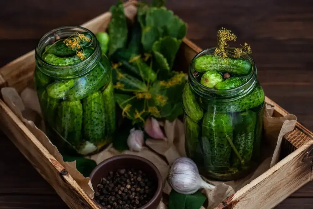 Jak przechować koper do kiszenia ogórków, by zachować jego aromat?