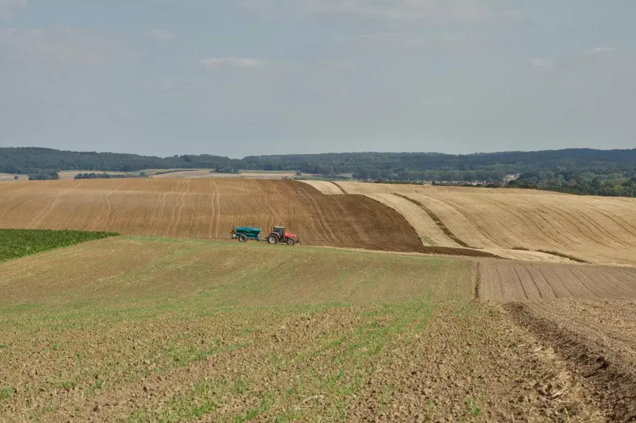 Czerwony traktor z przyczepą nawozi pole, przygotowując je do dalszej rekultywacji. W tle widać kolejne pola i las.