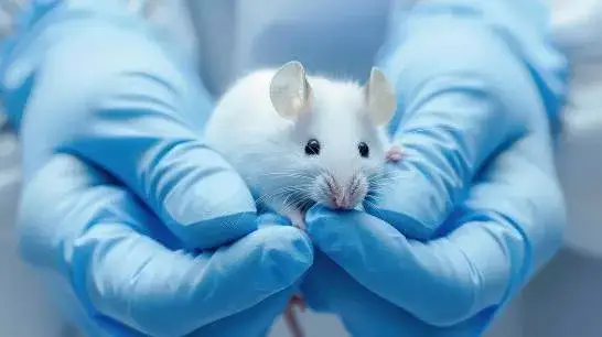 Investigación animal: ¿Por qué es vital para tu salud?