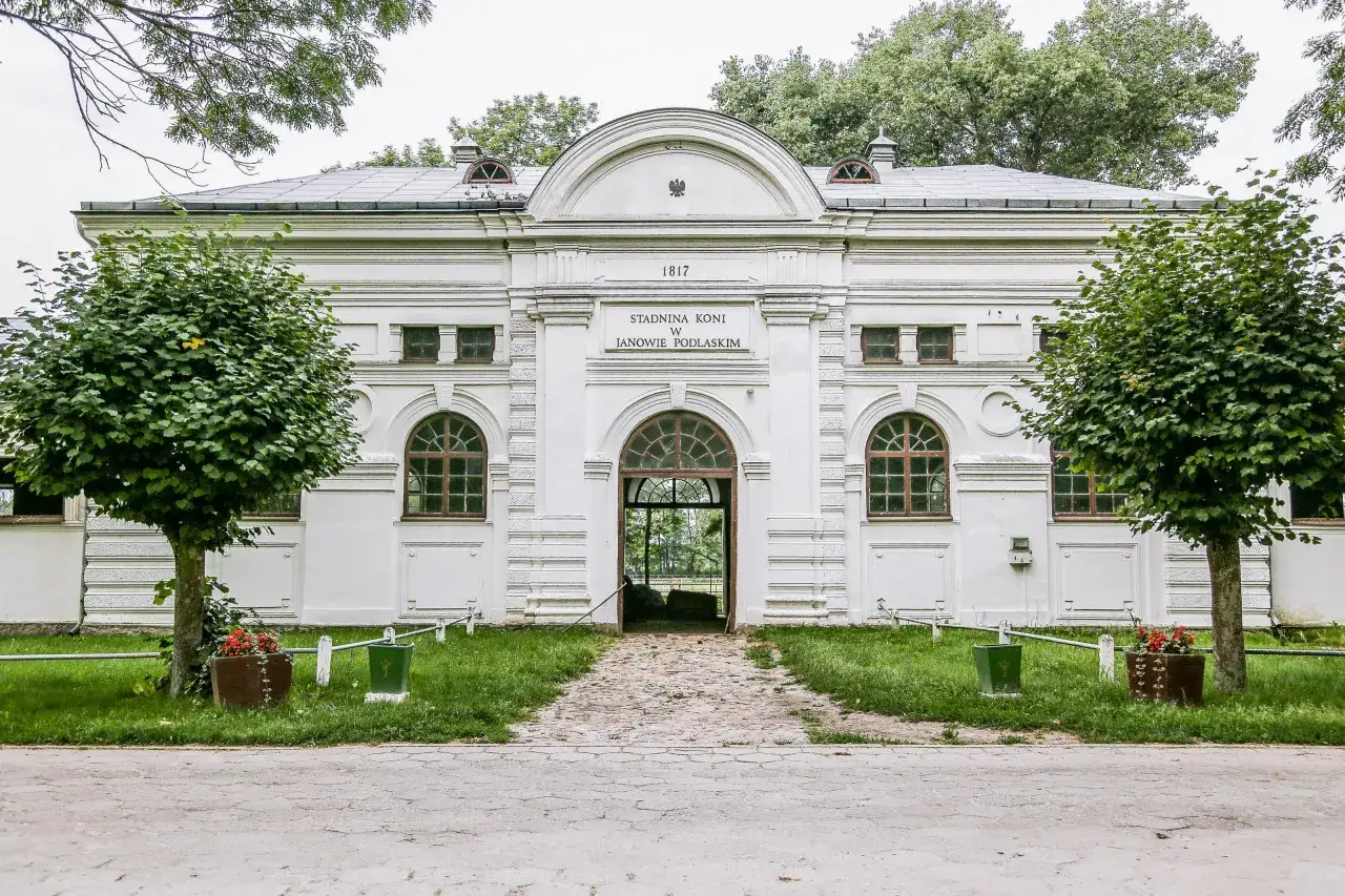 Janów Podlaski: Stadnina Koni Odkryj Tajemnice Polskiej Legendy