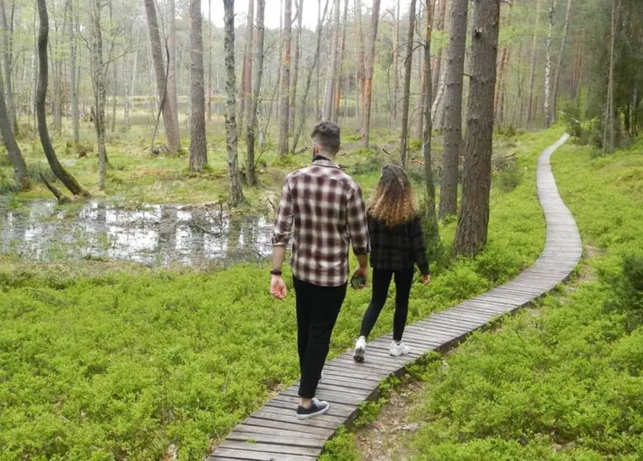 Para spaceruje drewnianą kładką przez bagienny las. Odkrywają magiczne miejsca Kujawsko-Pomorskiego.
