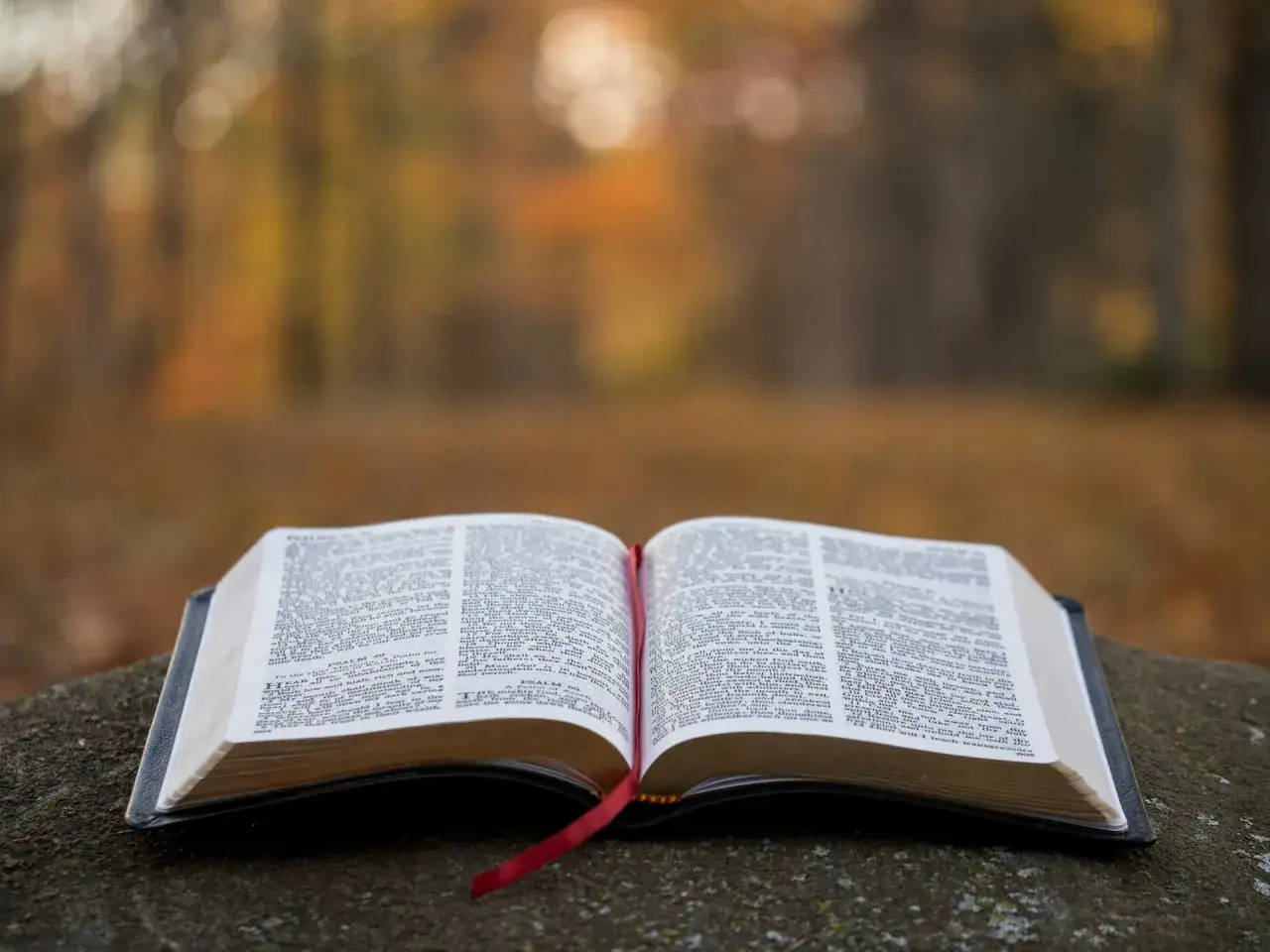 Otwarta Biblia na kamieniu, jesienny las w tle. Słowa Pisma Świętego mogą prowadzić do żalu za grzechy i modlitwy.