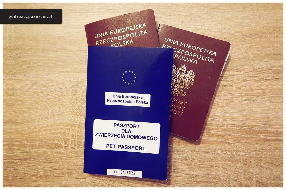 Czarnogóra: Dowód wystarczy, ale jest haczyk! Kiedy paszport?