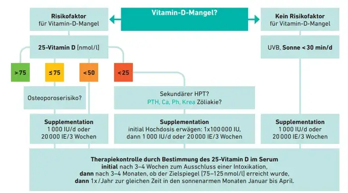 Dekristol bei Osteoporose auf Kassenrezept: Voraussetzungen und Tipps