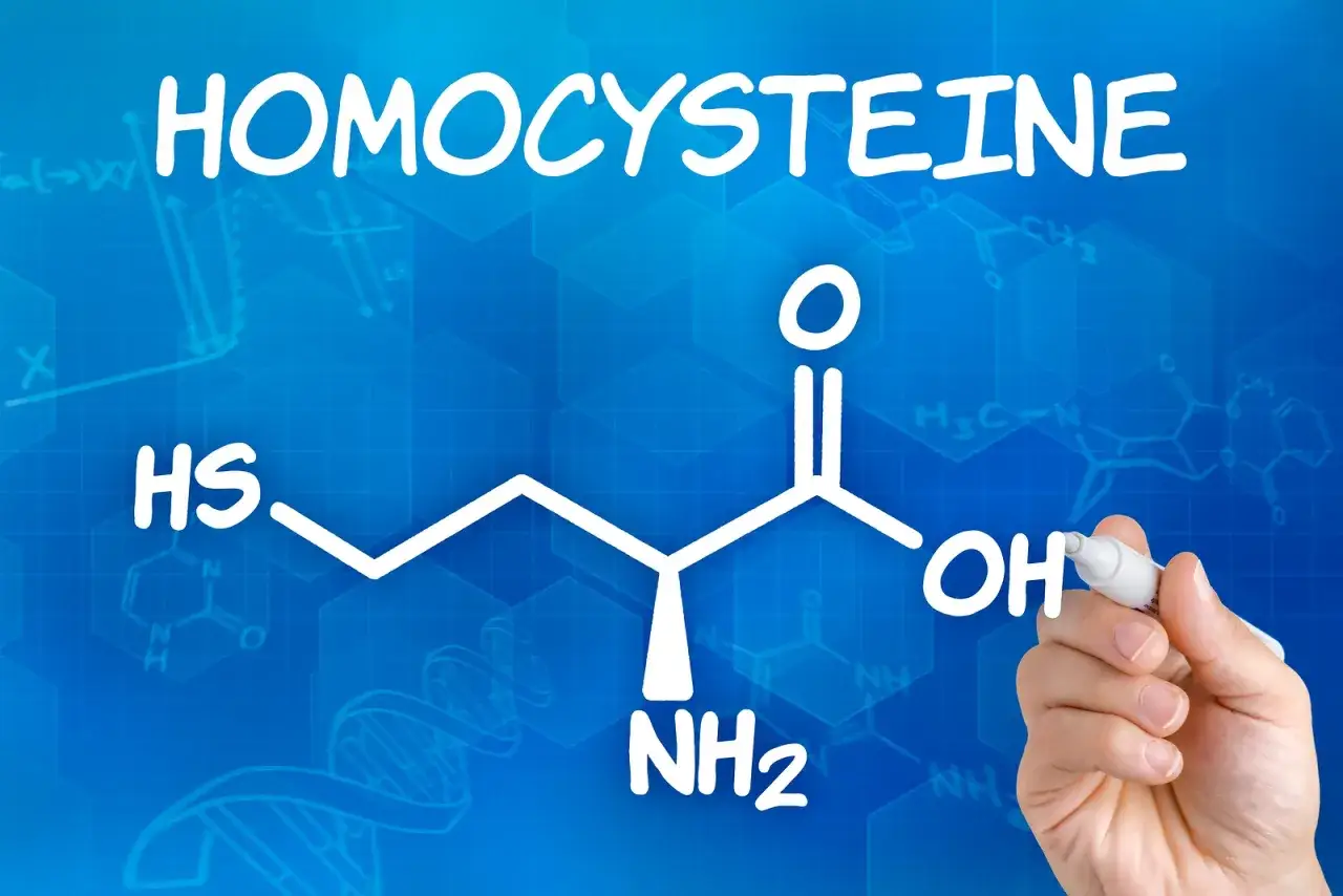 Homocysteina: Cichy wróg zdrowia? Obniż ją skutecznie!