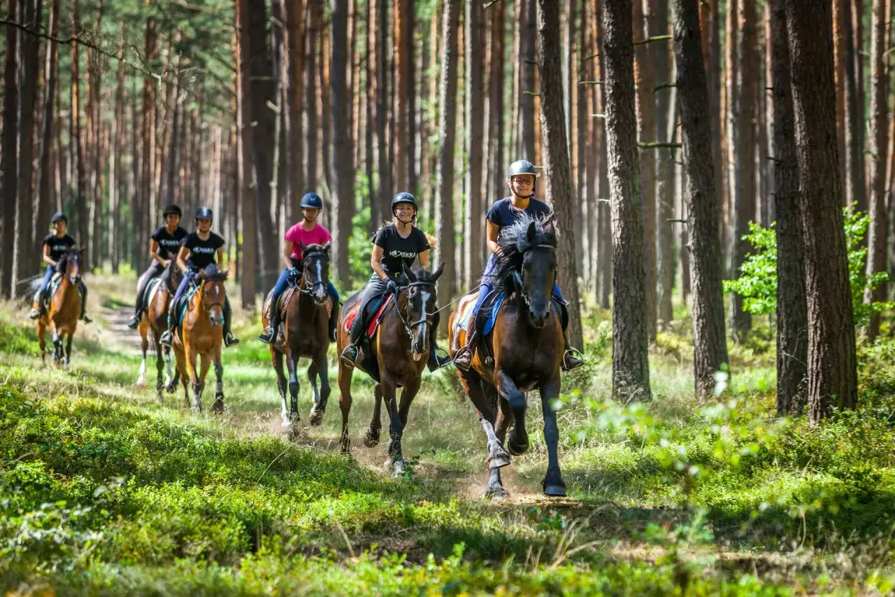 Grupa osób na koniach jedzie przez las.