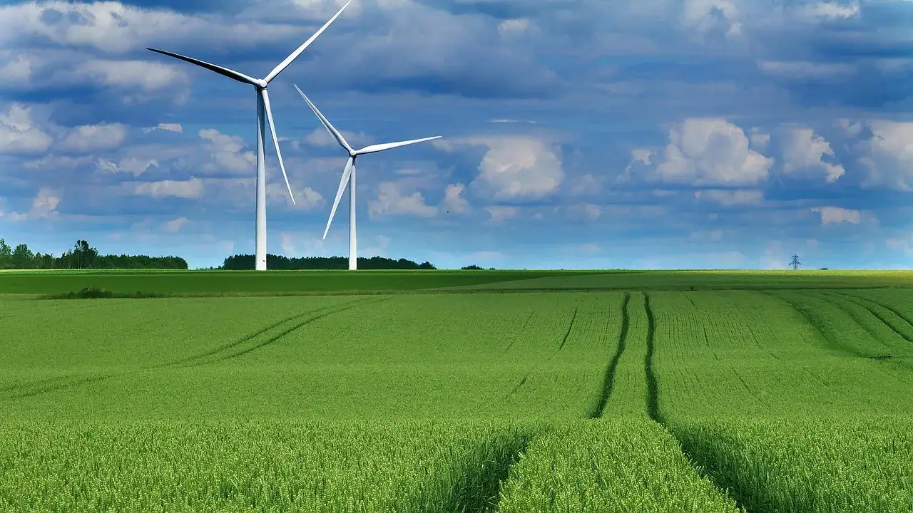 Białe certyfikaty energetyczne - jak uzyskać i na czym zarobić?