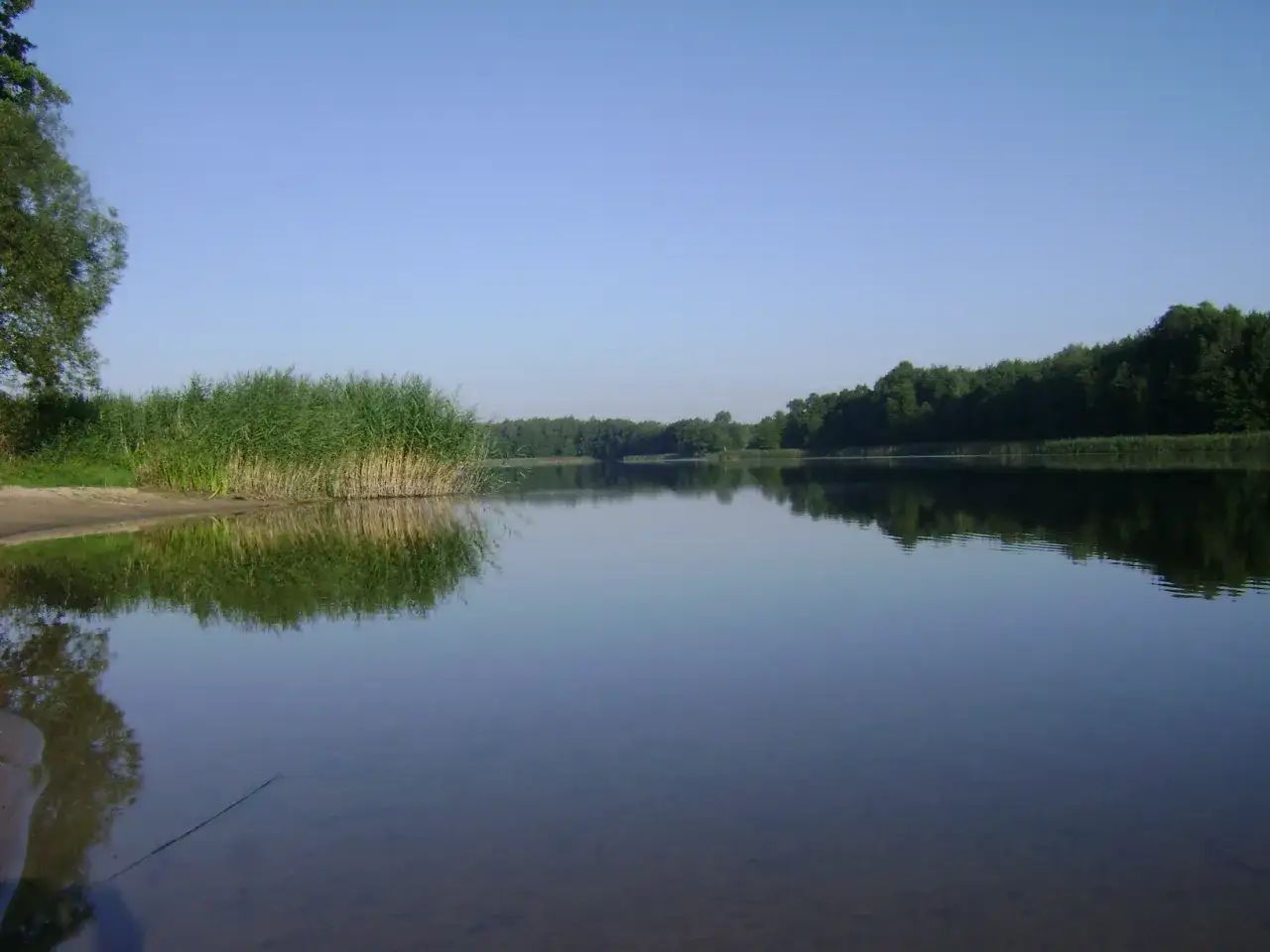 Jezioro Łąkie - największy akwen w gminie Skępe: mapa, głębokość i atrakcje