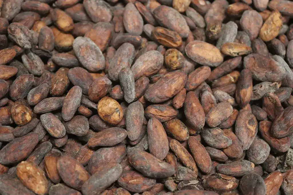 masło kakaowe spożywcze